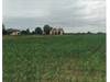Rustico con terreno
